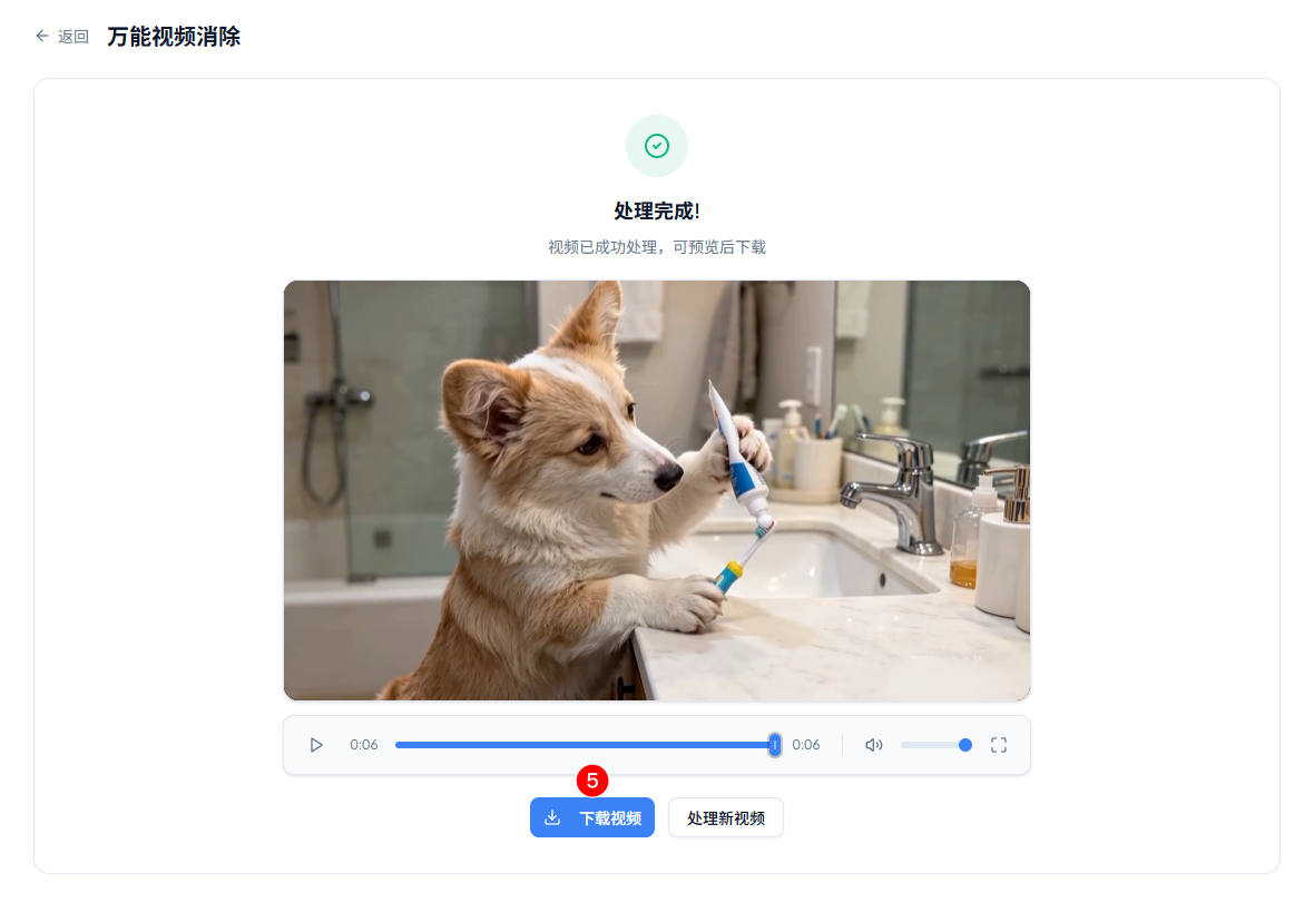 万能视频消除 · 处理完成结果页
